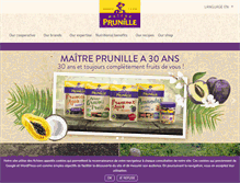 Tablet Screenshot of maitreprunille.fr